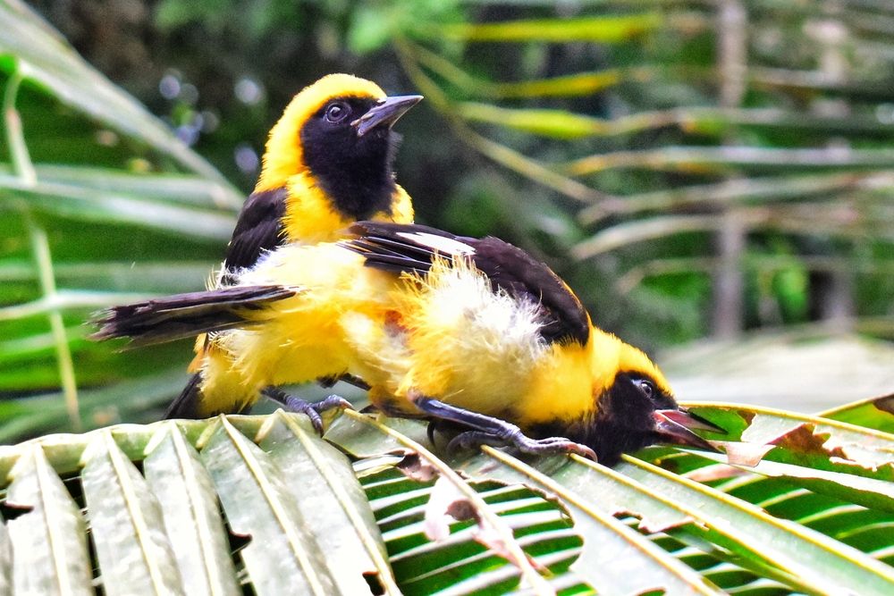 Photograph by Andrés Valencia