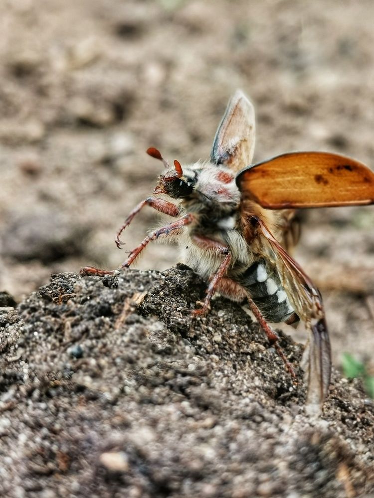 Photograph by Любовь Лунина