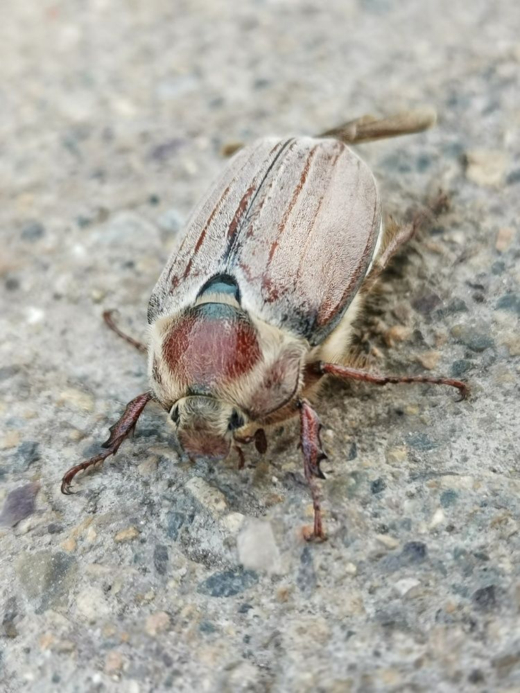 Photograph by Любовь Лунина