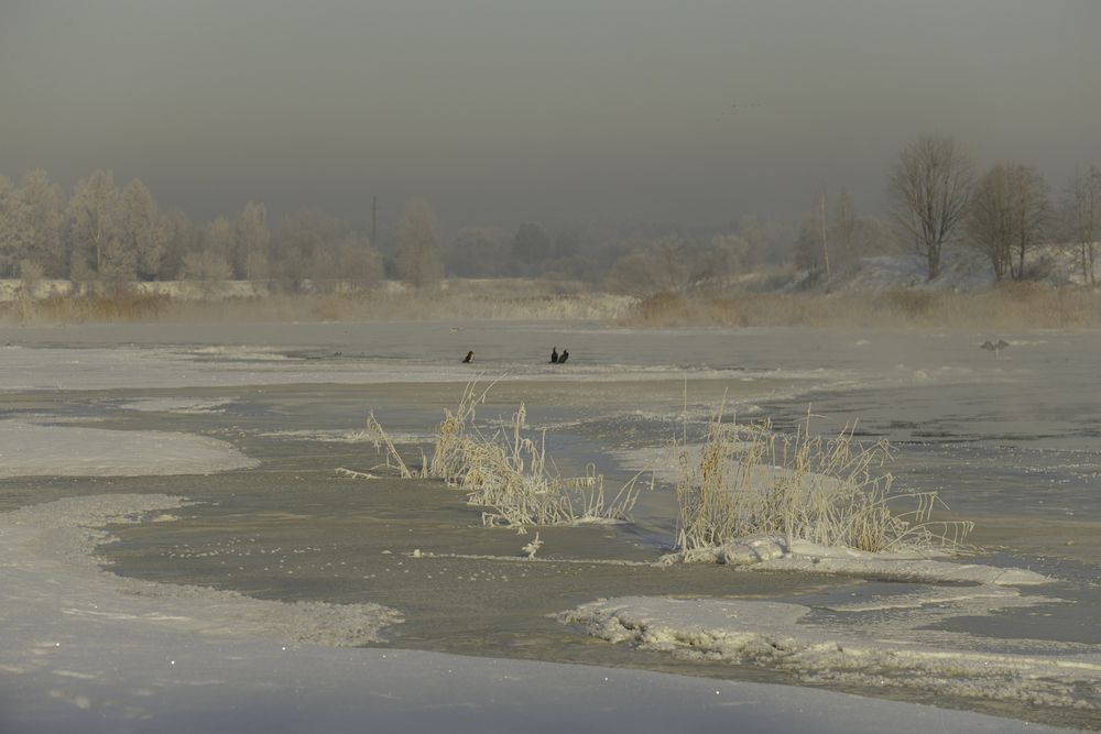 Lielā sala bargumā