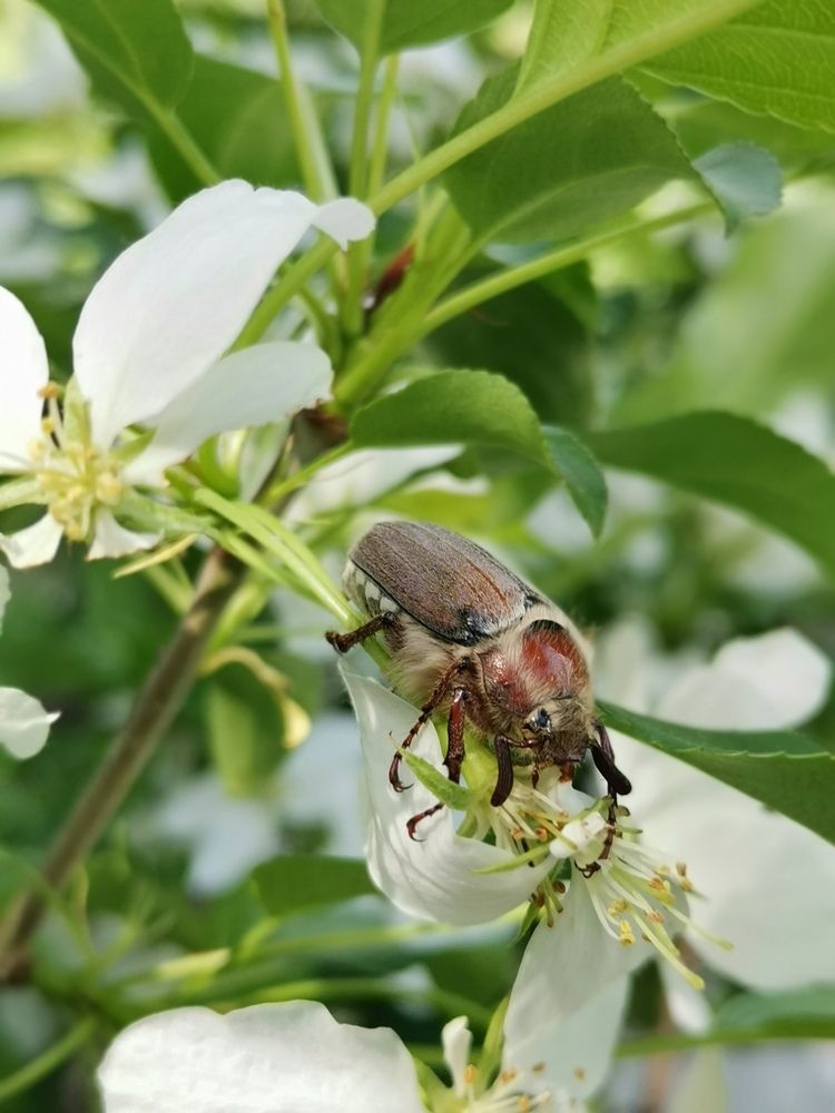 Photograph by Любовь Лунина