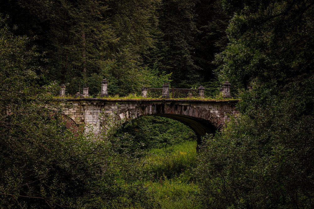 Photograph by Anna Amarova