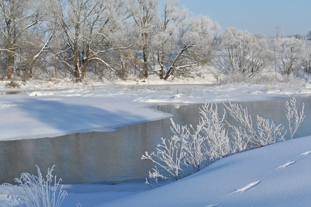 Photograph by IRINA FILIPPOVA