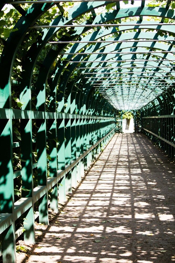 Photograph by Алексей Иёшин