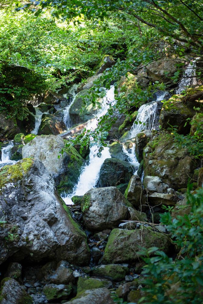 Photograph by Christina Oleshkevich