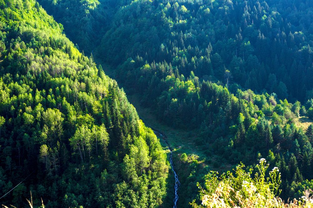 Photograph by Christina Oleshkevich