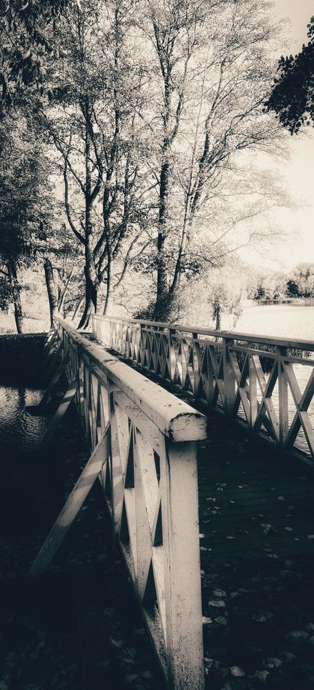 Photograph by Инна Невар