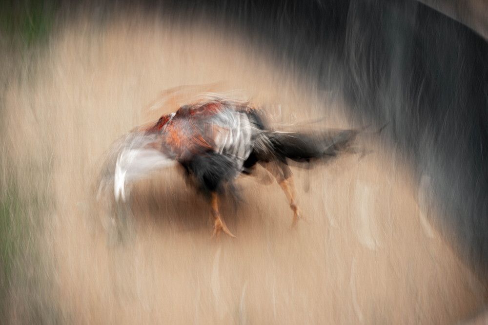 Photograph by Francesco Sangalli