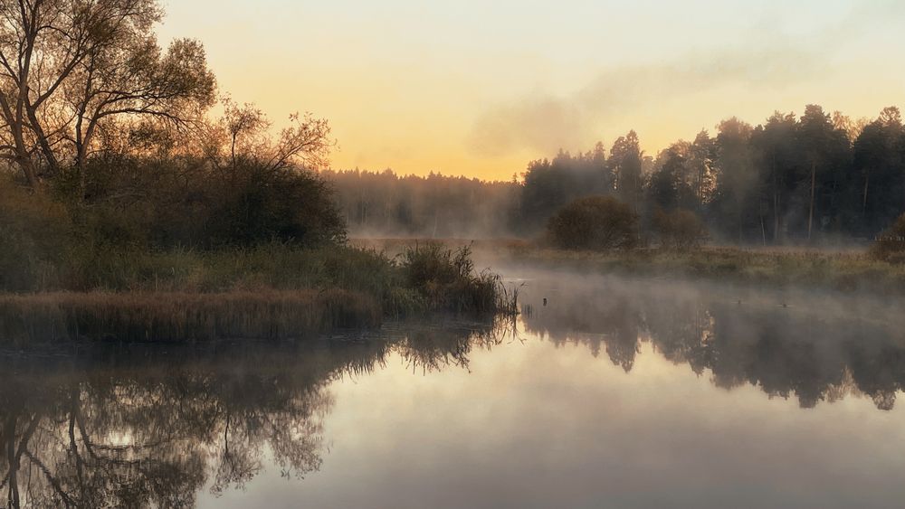 Photograph by Алена Ерошкина