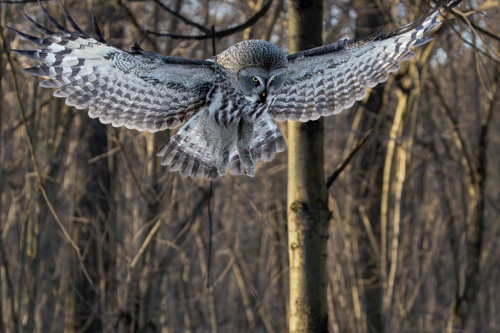 Photograph by Вера Машина