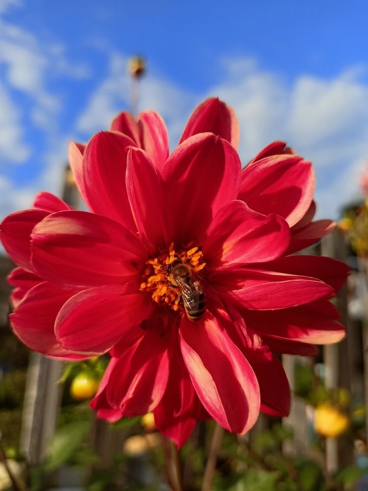 Photograph by Дарья