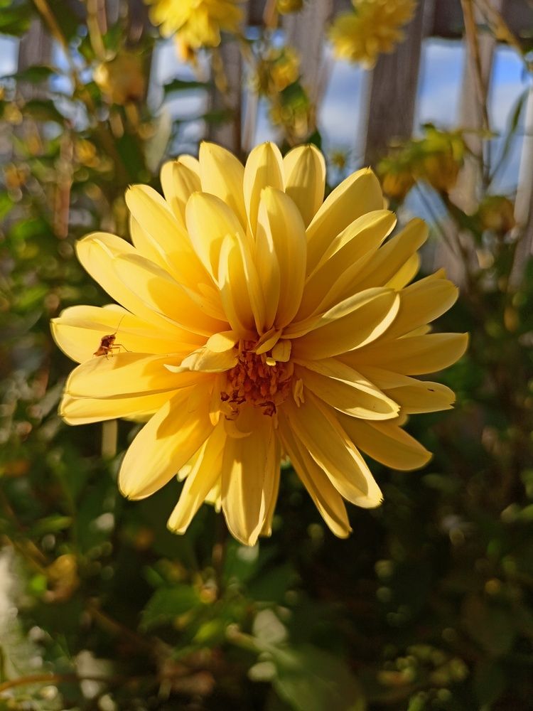 Photograph by Дарья