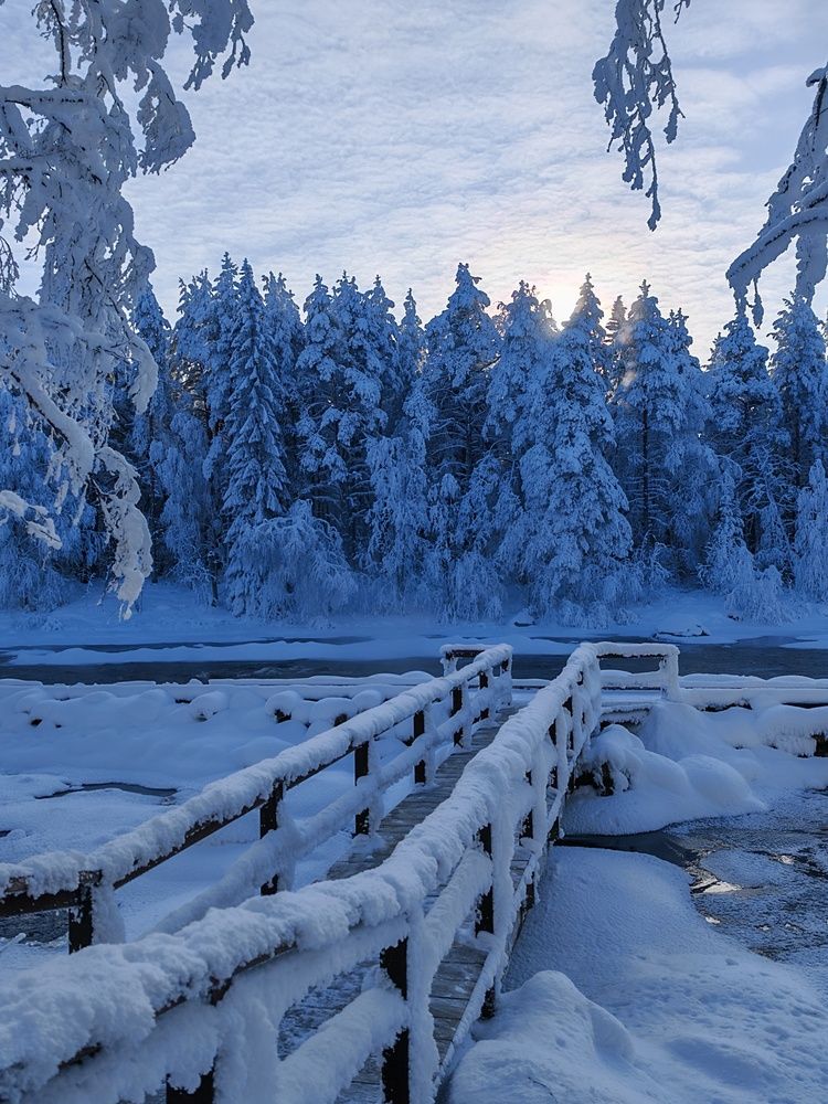 Photograph by OLga Piirainen