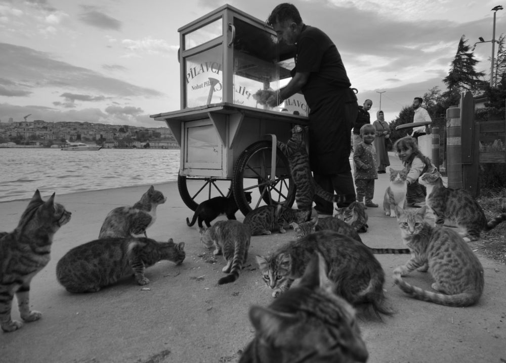 Photograph by SÜLEYMAN ÜLKER