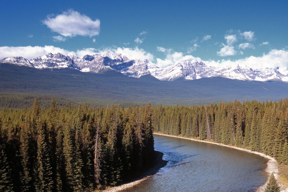 Photograph by Paolo Mola