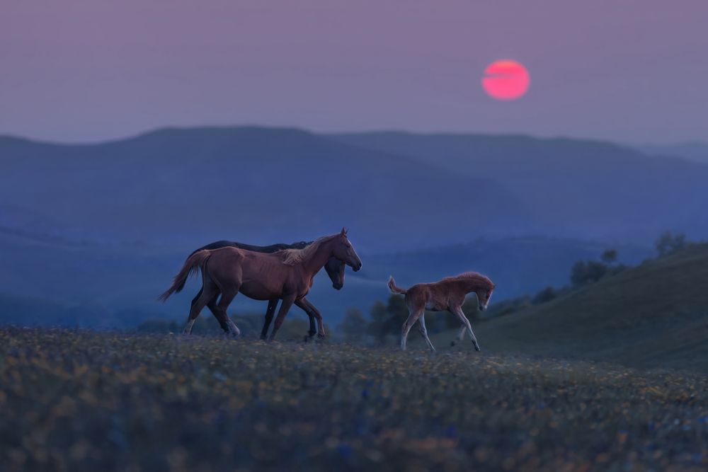Photograph by Онучина Юлия