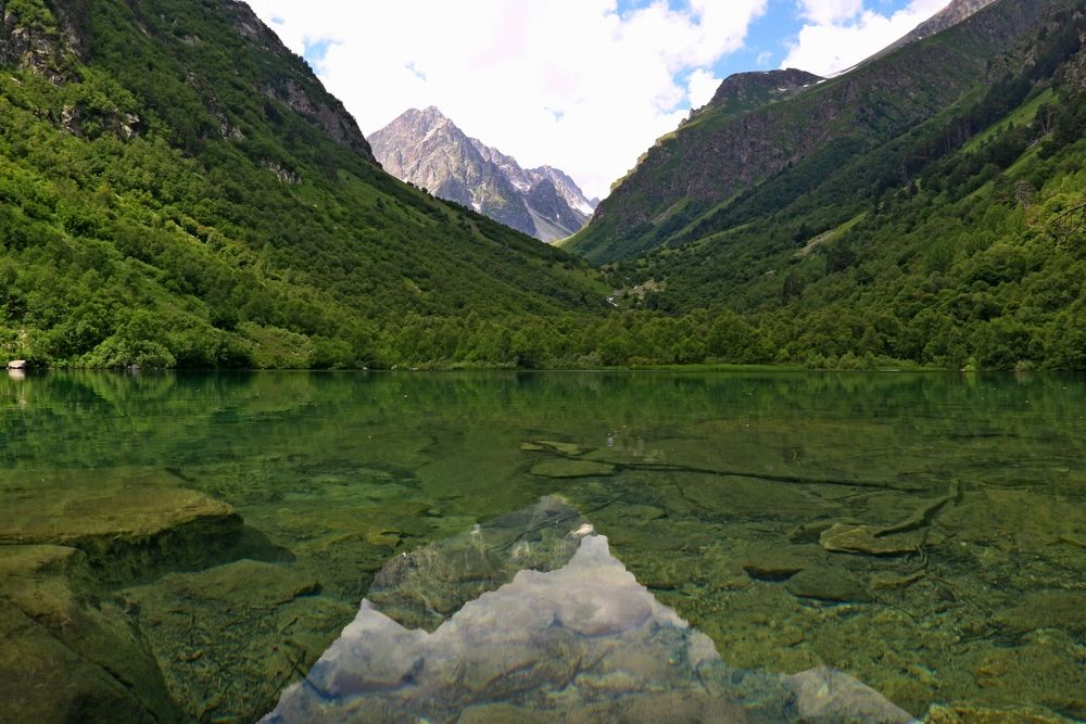 Бадуки 3