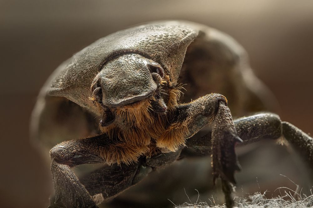 Photograph by Онучина Юлия