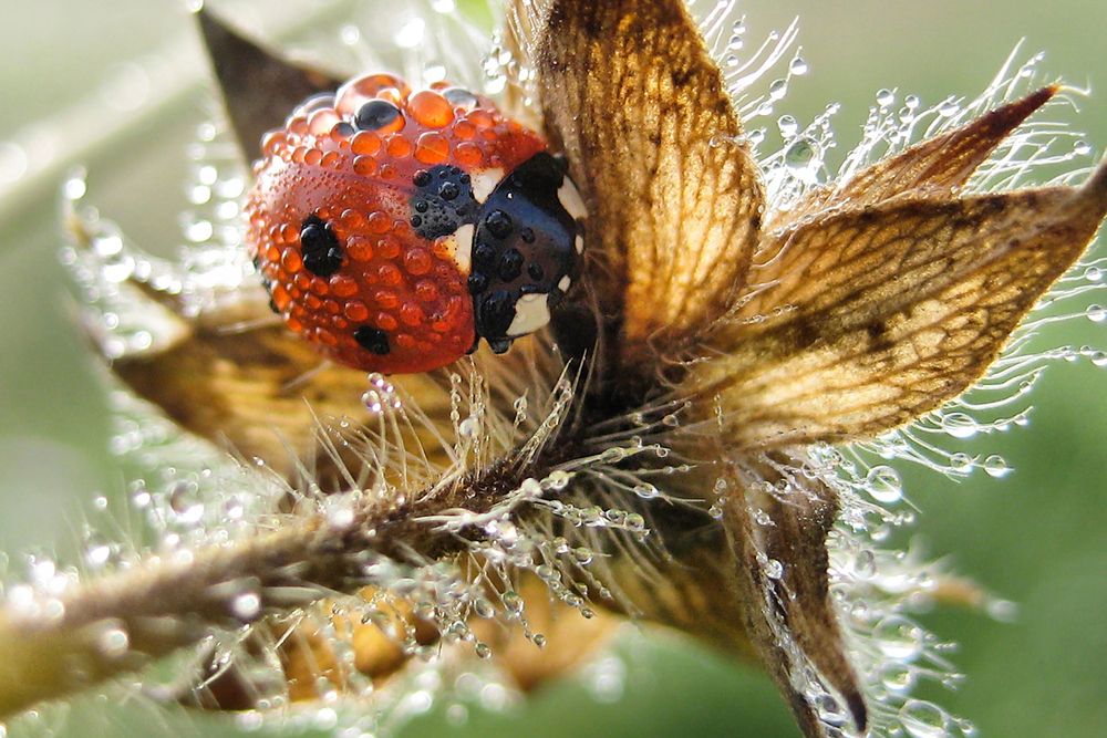 Фотография автора Онучина Юлия