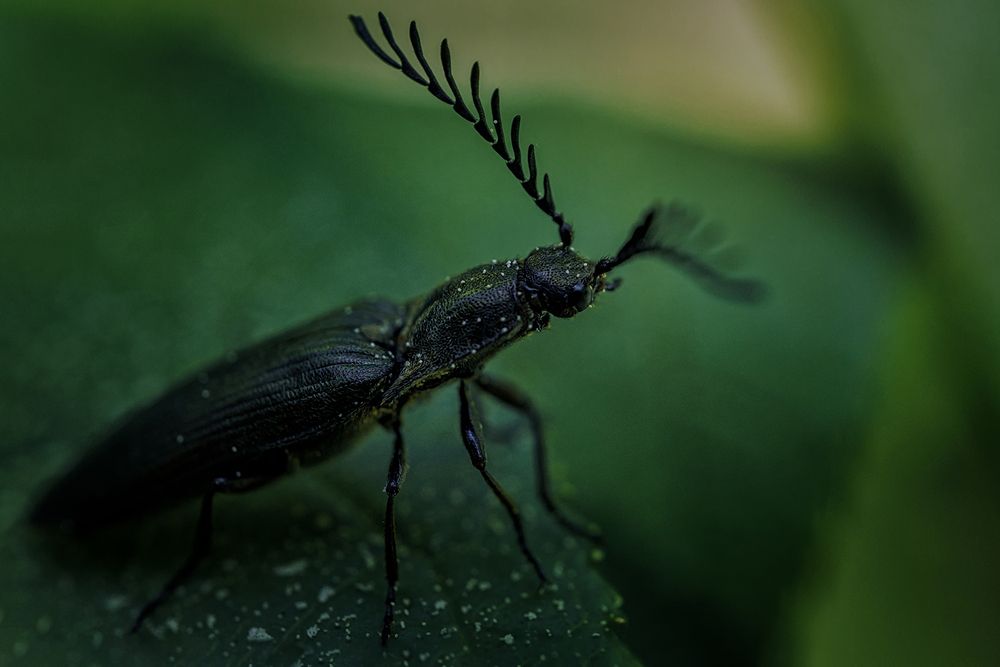 Фотография автора Онучина Юлия