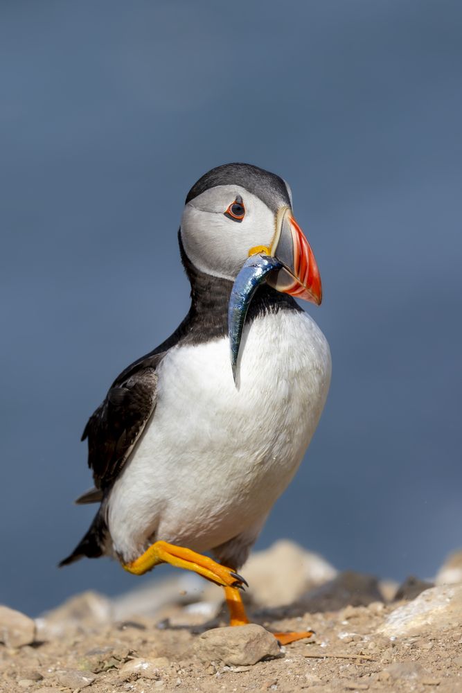 Photograph by Ellen Lichtenheldt