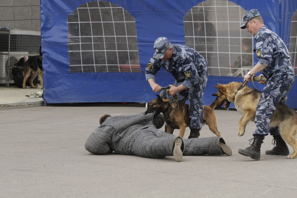 Photograph by Сергей Черных