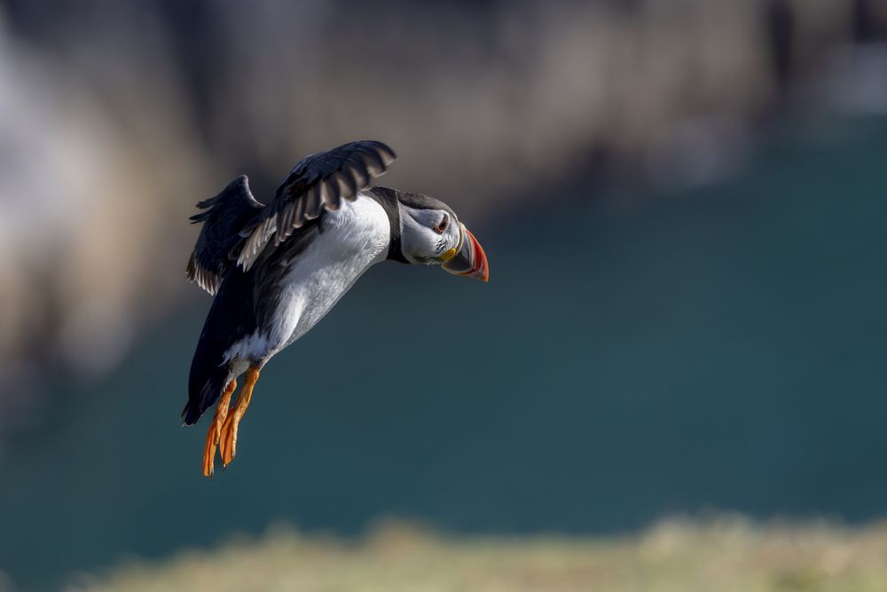 Photograph by Ellen Lichtenheldt