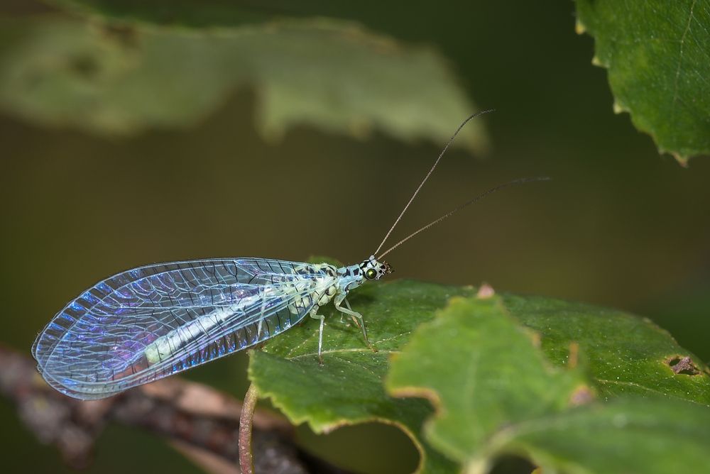 Photograph by Victor Stepanov