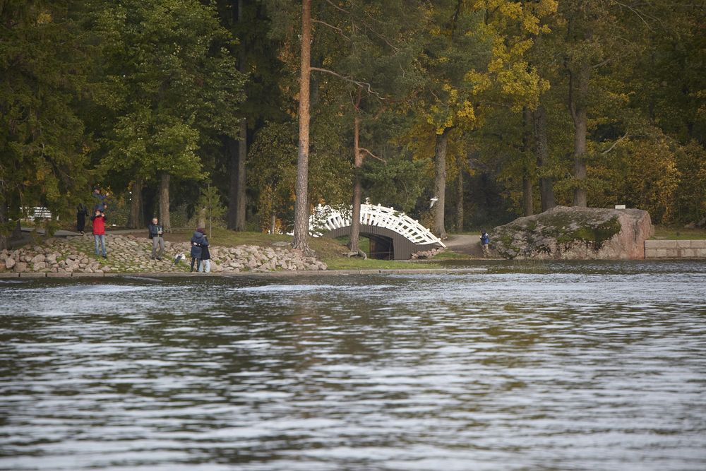Фотография автора Юрий