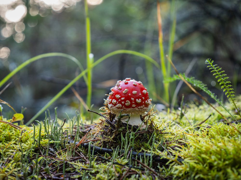 Photograph by Татаринов Валерий
