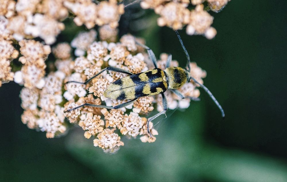 Photograph by Anna Rvanzeva