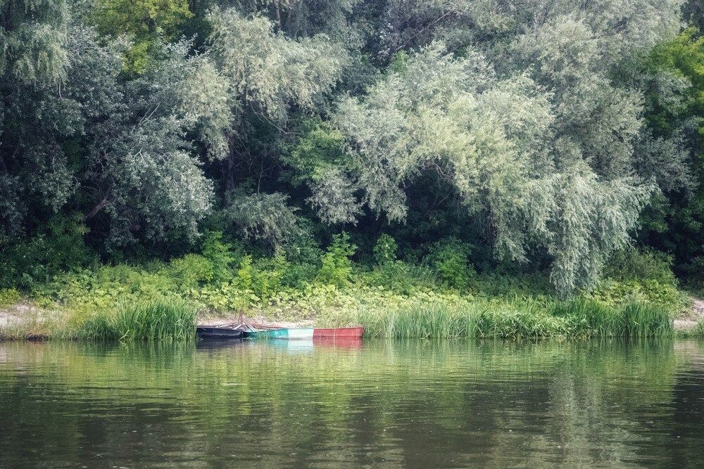 Photograph by Anna Rvanzeva