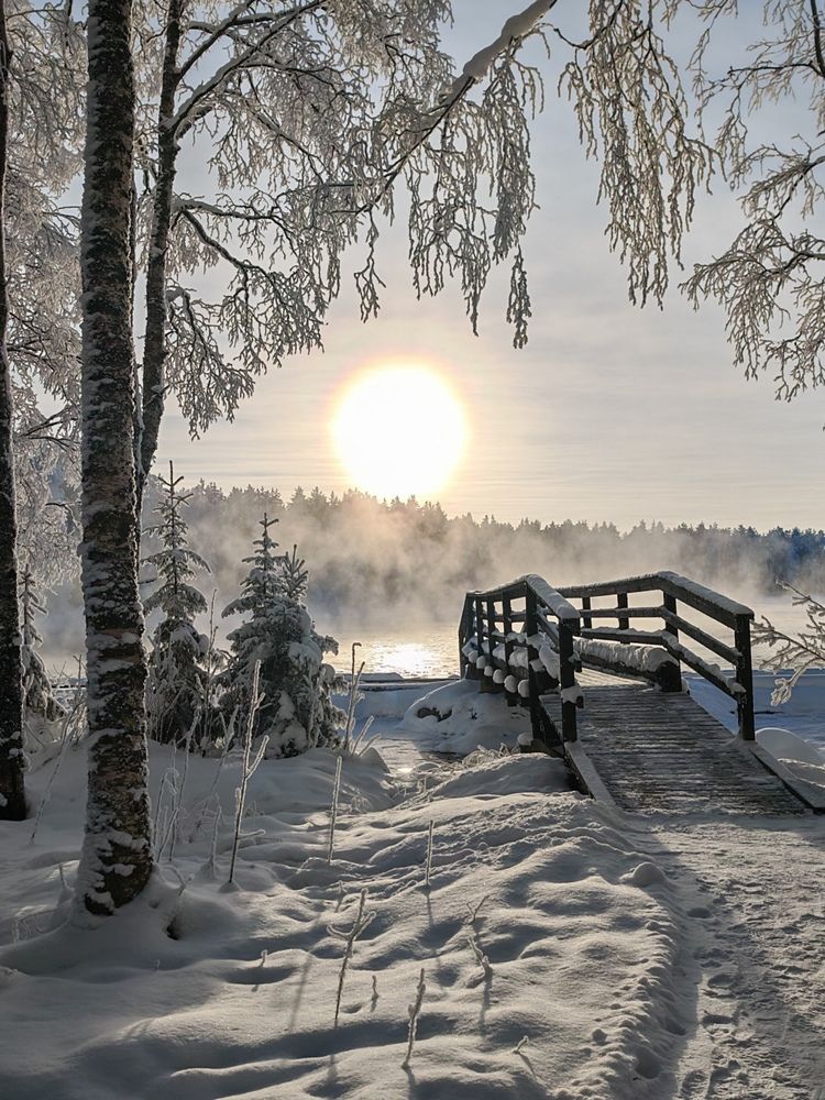 Photograph by OLga Piirainen