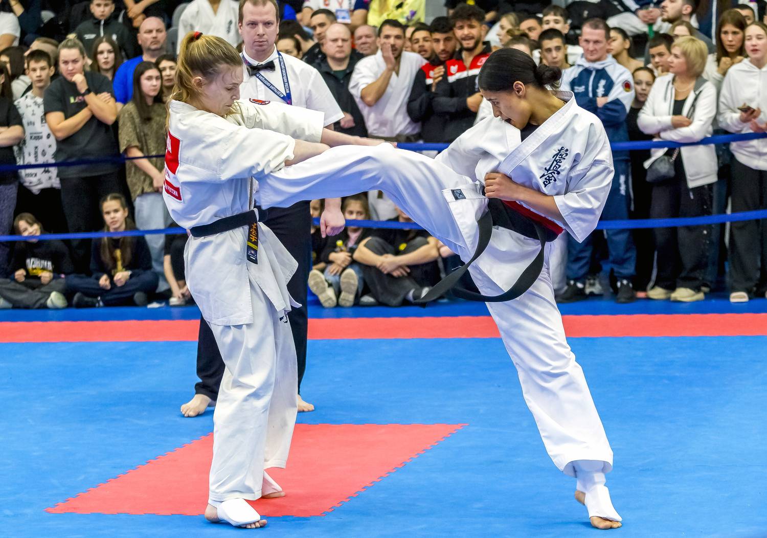 Фотография #13275349