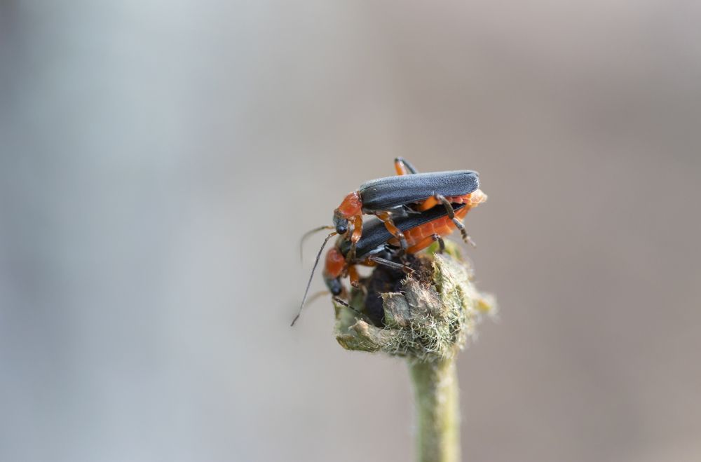 Photograph by Светлана Попкова