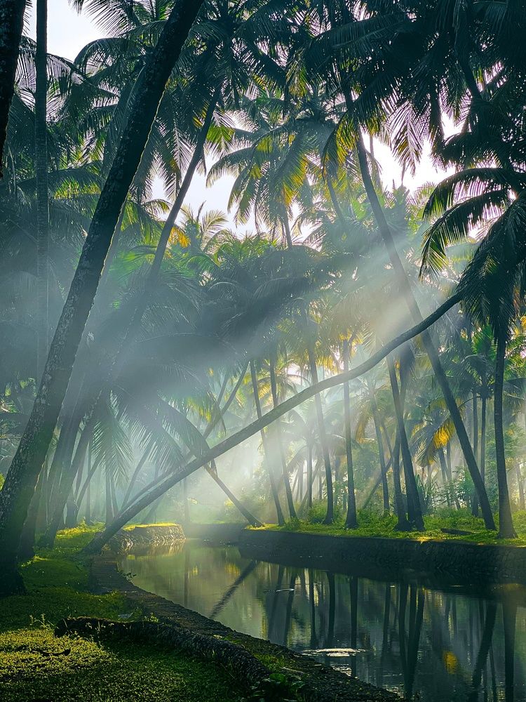 Location-kerala, india