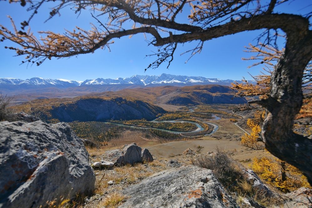 Photograph by Margareth Tikhonova