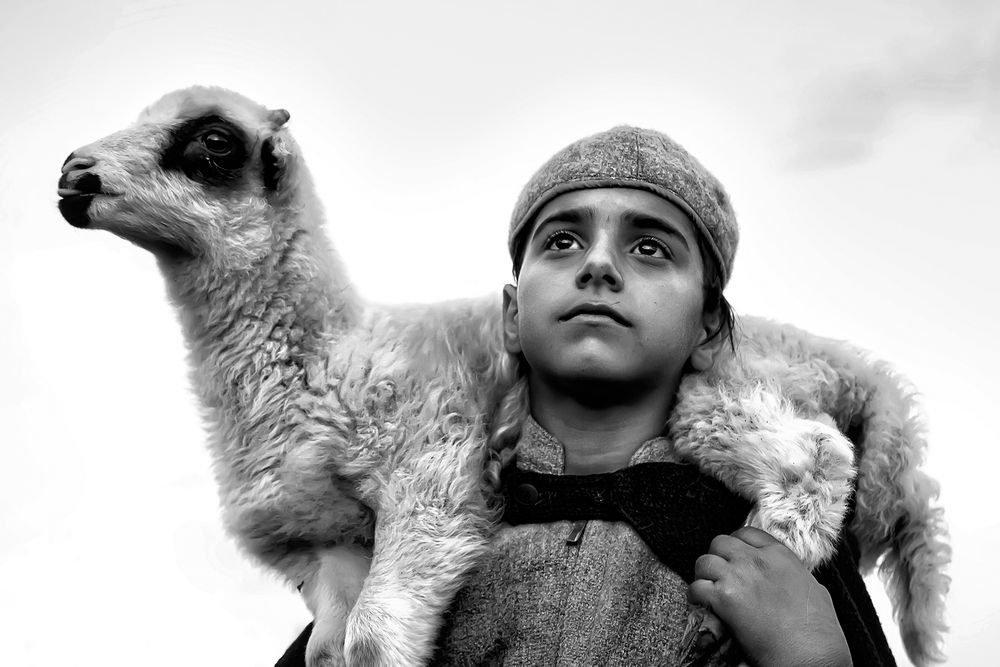 Photograph by Amin Mahdavi