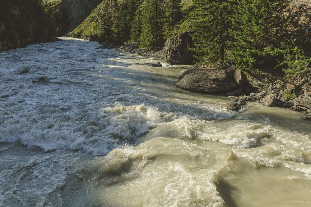 Фотография автора Кушпилева Марина