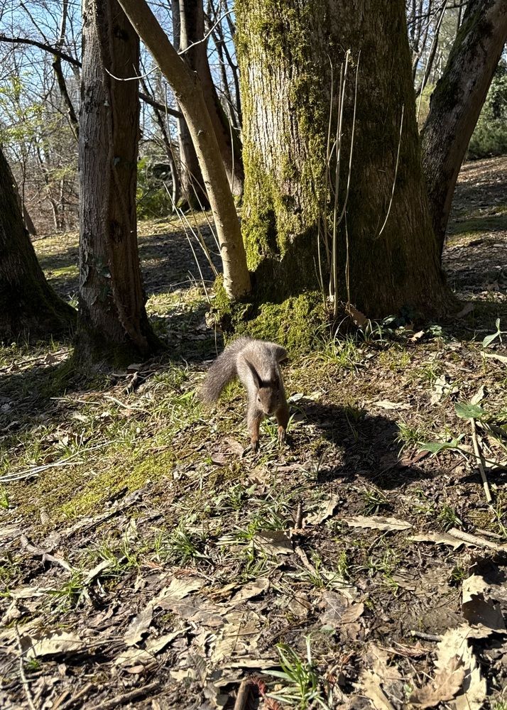 Photograph by Мария