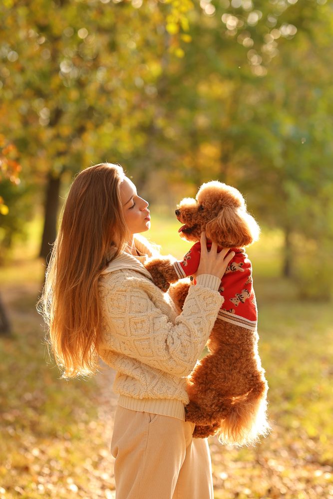 Photograph by Сонила Ужва