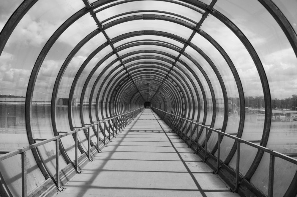 Фотография #13275398