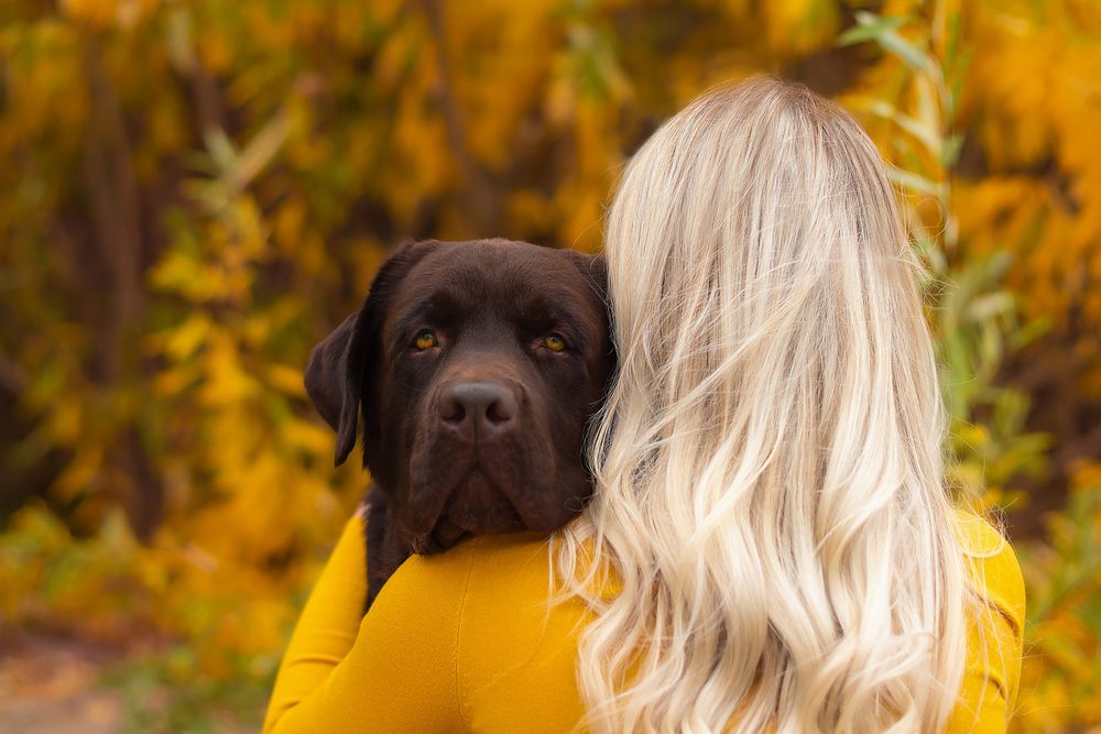 Photograph by Коржова Наталья