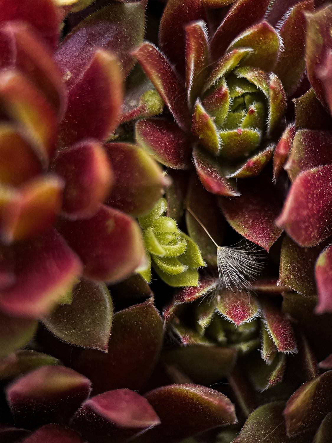 Не такой как все.