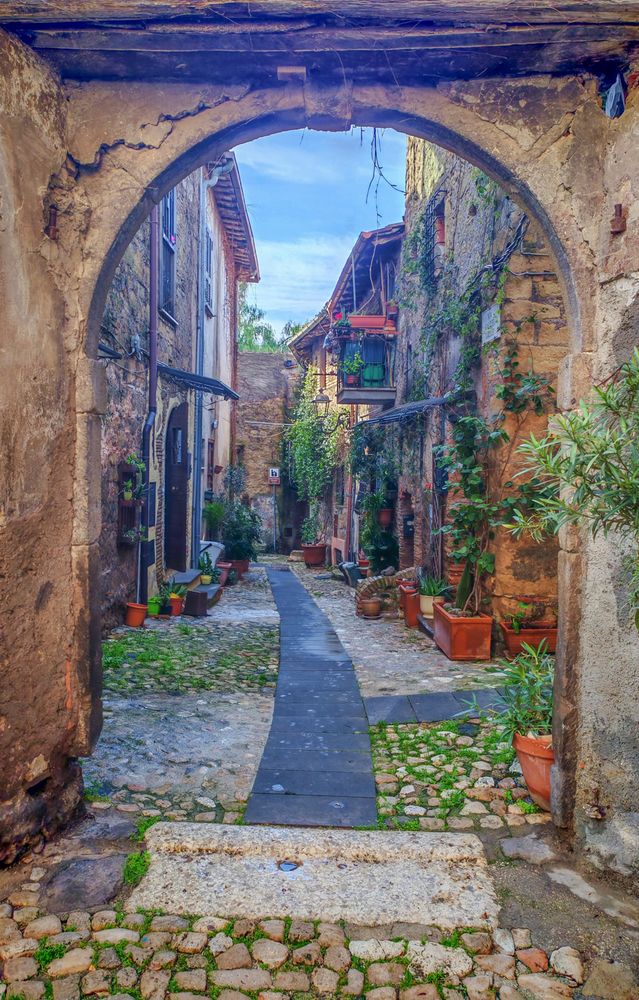 Фотография автора Максимова Дария