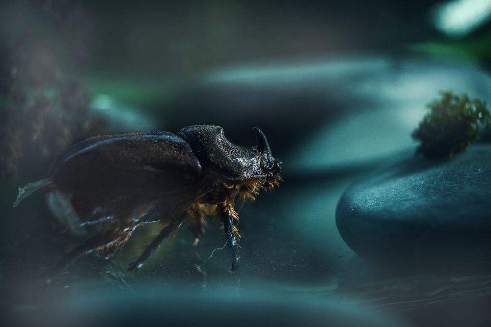 Photograph by Ольга Сергеенко