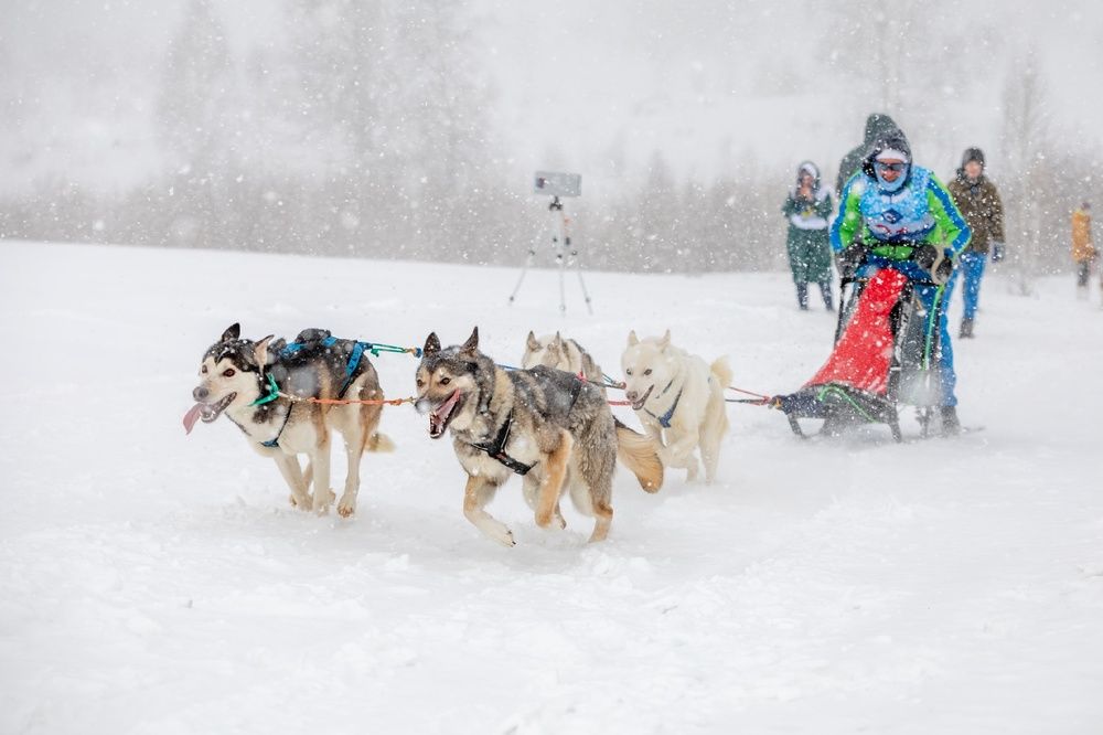 Фотография автора Алексей Новиков