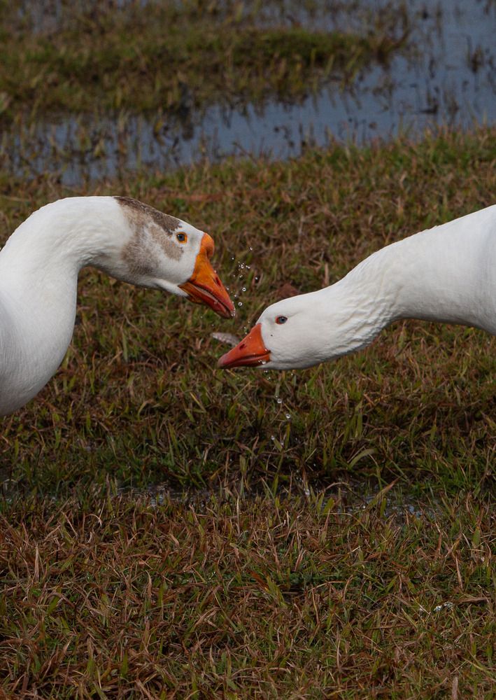 Photograph by Viktor Voynov