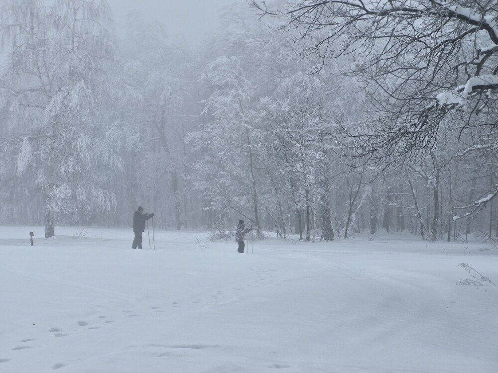 Фотография автора Анастасия Чекалина