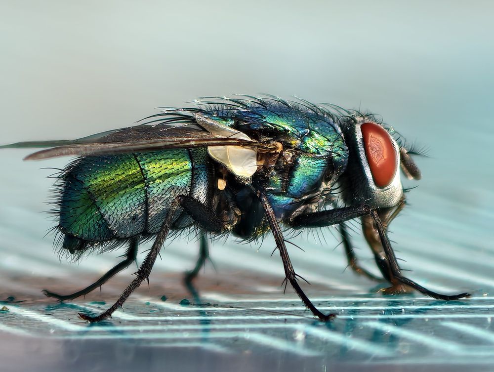 Photograph by Евгений Аксененко